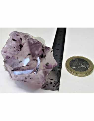 Brandenberg sept pointes