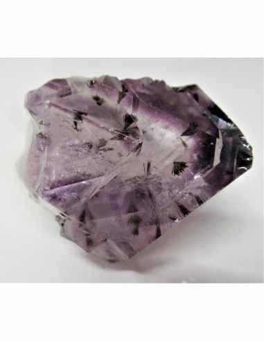 Brandenberg sept pointes