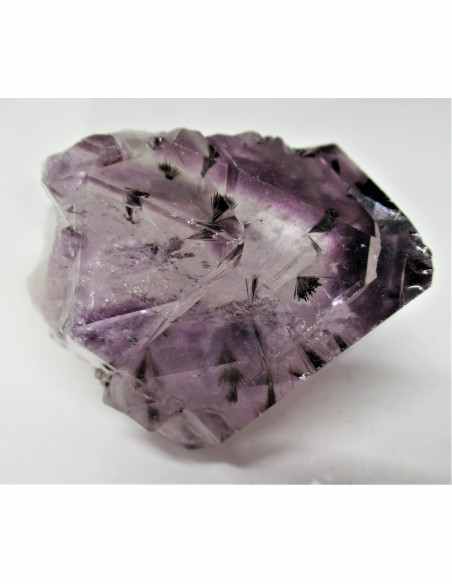 Brandenberg sept pointes Brandenberg sept pointes