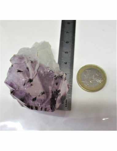 Brandenberg sept pointes