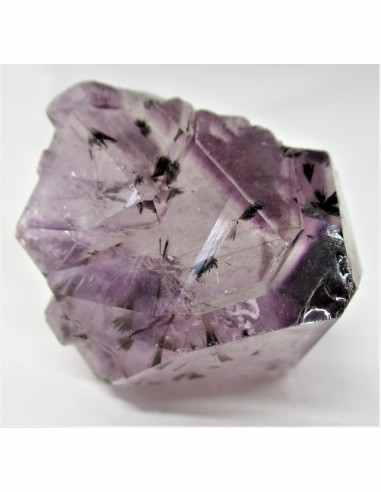 Brandenberg sept pointes