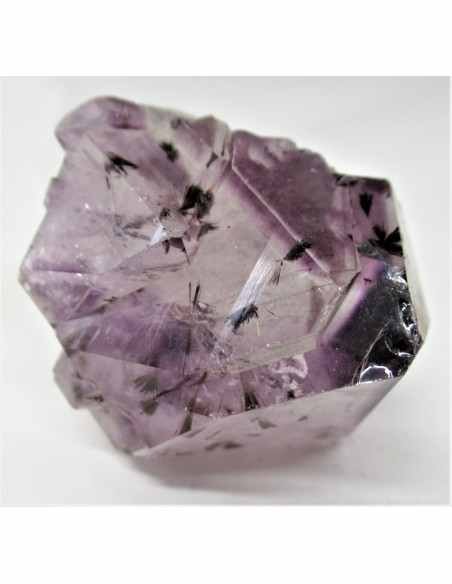 Brandenberg sept pointes Brandenberg sept pointes