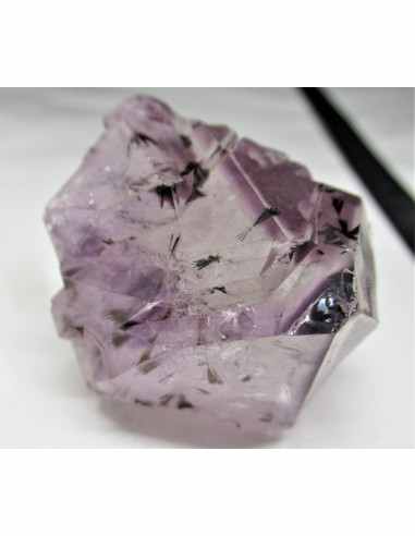 Brandenberg sept pointes