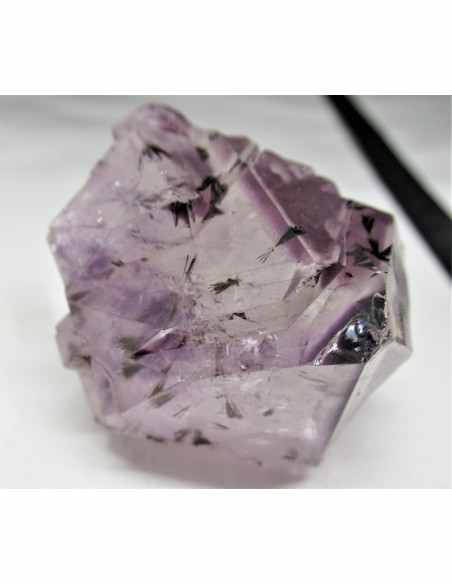 Brandenberg sept pointes Brandenberg sept pointes