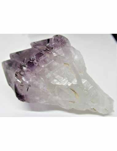 Brandenberg sept pointes