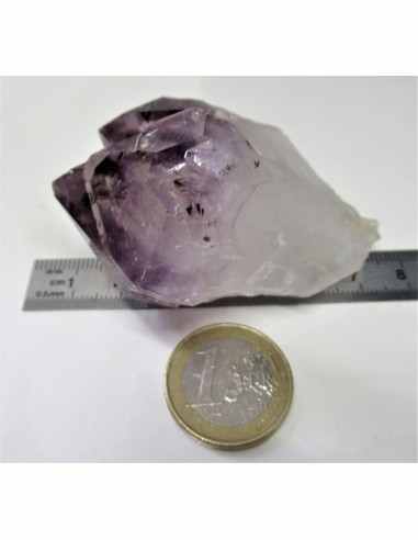 Brandenberg sept pointes