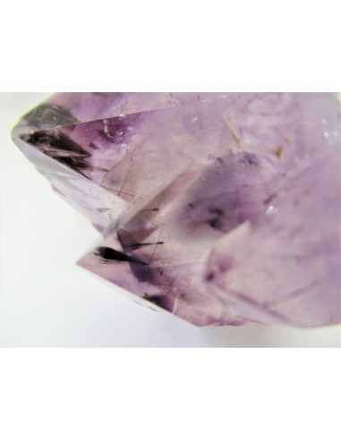 Brandenberg sept pointes