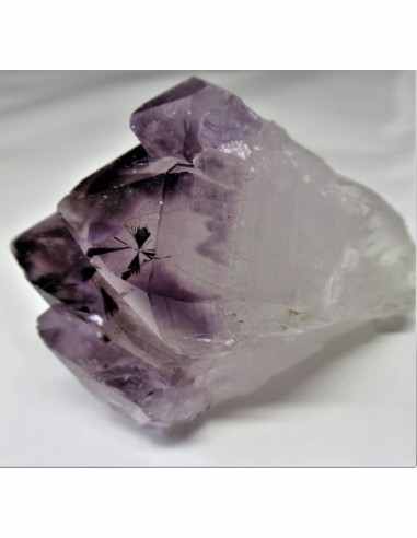 Brandenberg sept pointes