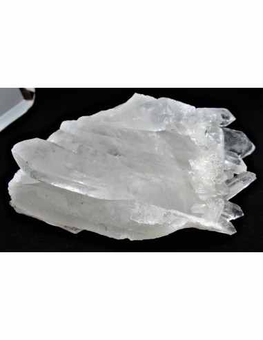 Cristal maitre de l'abondance 12cm