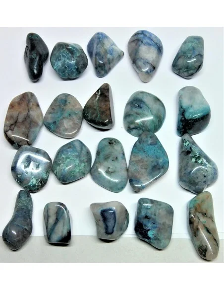 Quatro quantum polis Quatro quantum polis