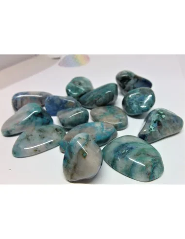 Quatro quantum polis