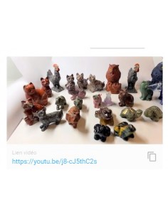 Animaux pierres