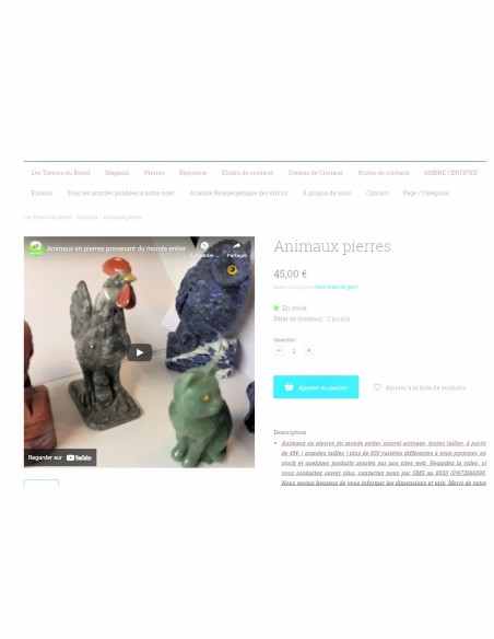 Animaux pierres Animaux pierres