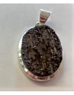 Bois fossile pendentif argent 2