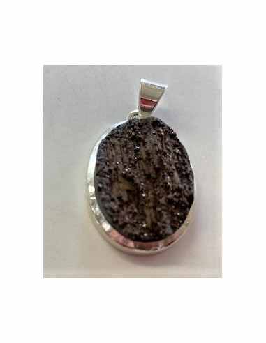 Bois fossile pendentif argent