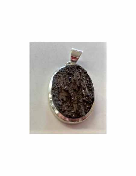 Bois fossile pendentif argent