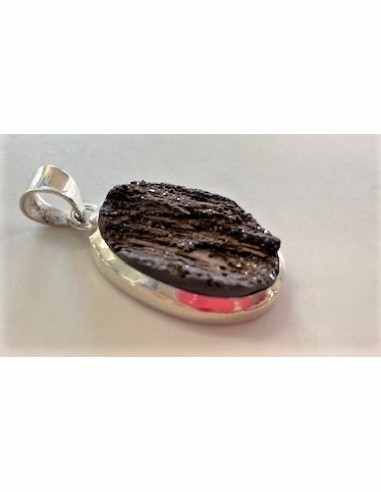 Bois fossile pendentif argent