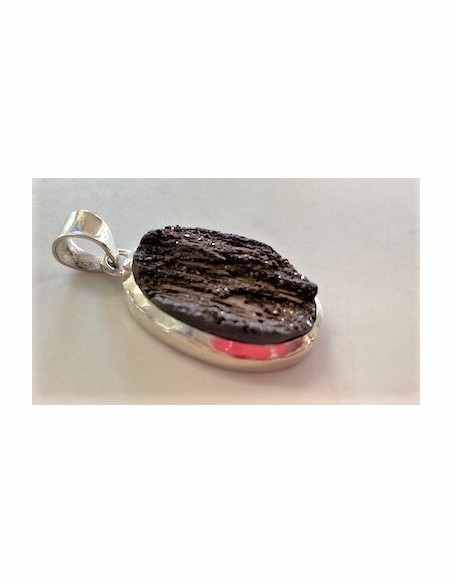 Bois fossile pendentif argent