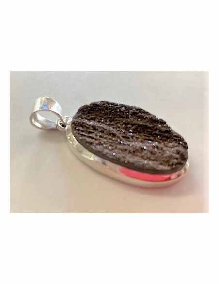 Bois fossile pendentif argent