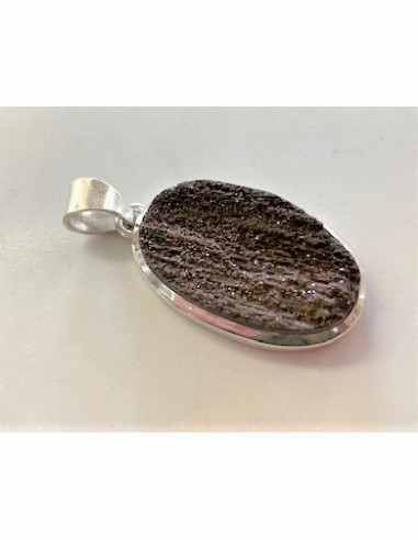 Bois fossile pendentif argent