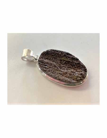 Bois fossile pendentif argent