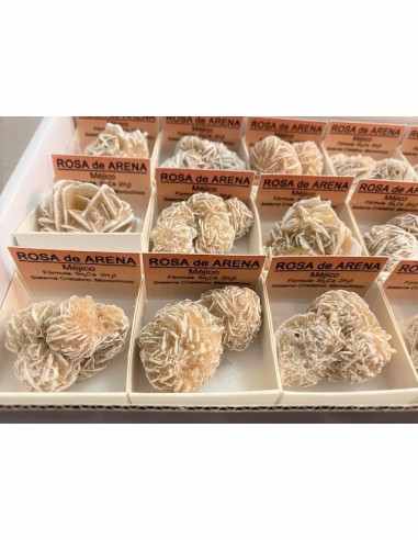 Rose de sable ama soeur