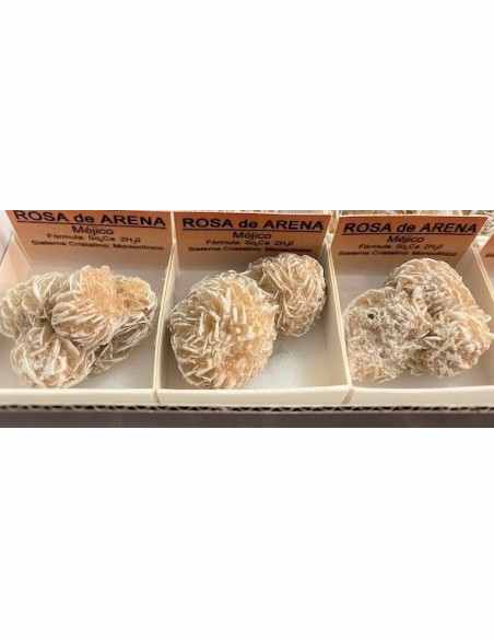 Rose de sable ama soeur