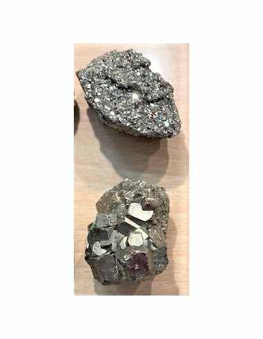 Pinas femelle une pierre