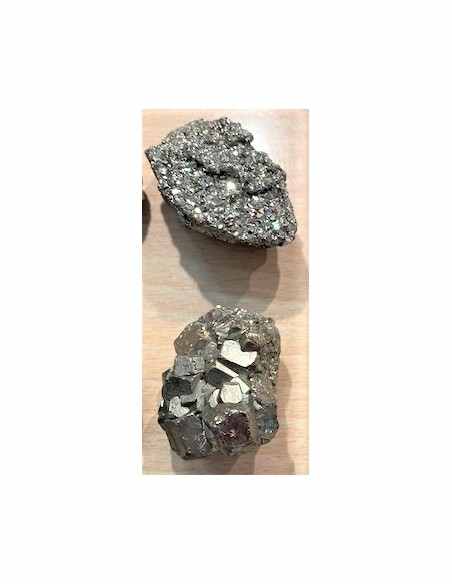 Pinas femelle une pierre