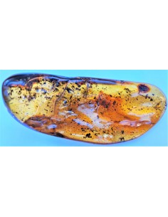 Morceau Ambre 87mm
