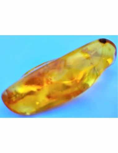 Ambre Morceau 65mm