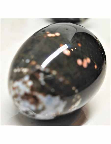 Oeuf jaspe orbiculaire, jaspe leopard