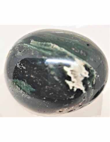 Oeuf jaspe leopard, jaspe orbiculaire