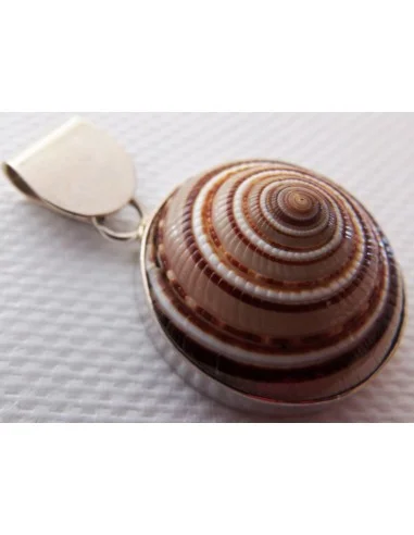 Gasteropodes monté en argent