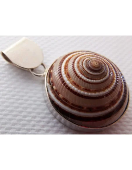 Gasteropodes monté en argent