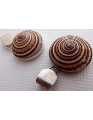 Gasteropodes monté en argent