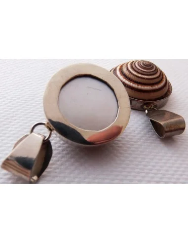 Gasteropodes monté en argent