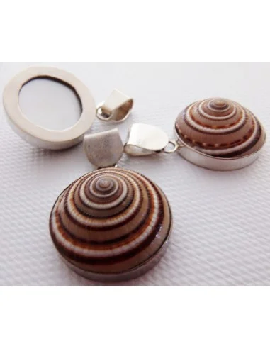 Gasteropodes monté en argent