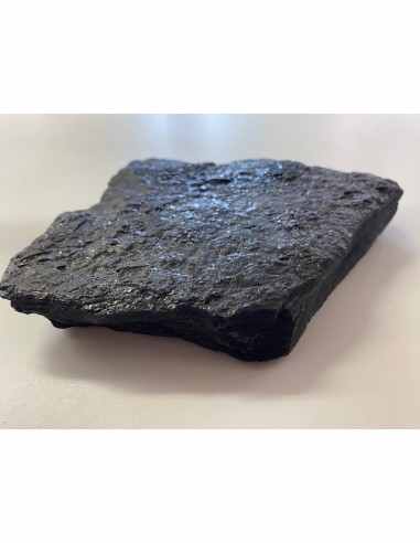 Shungite 163mm