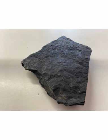 Shungite 163mm