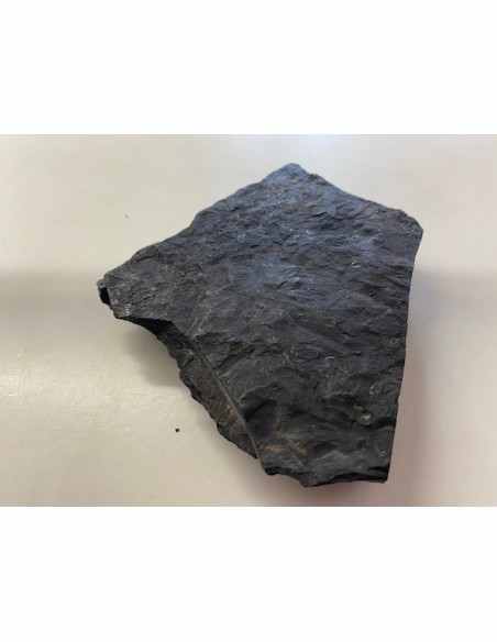 Shungite 163mm