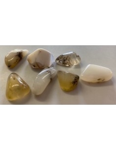 Novaculite polis 2