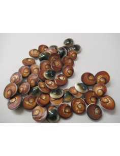 Oeil de sainte Lucie brut 1€ 2