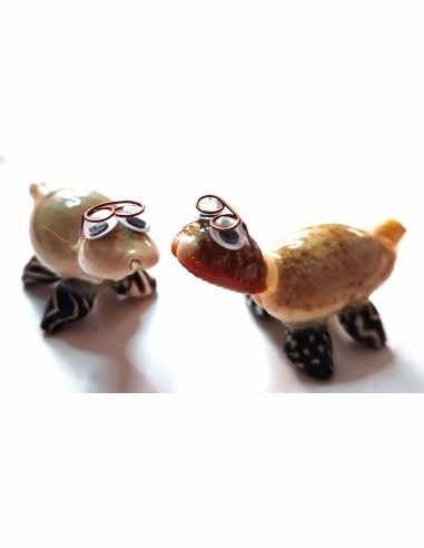 Tortue coquillages avec lunettes