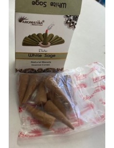 Sauge encens en cône 2