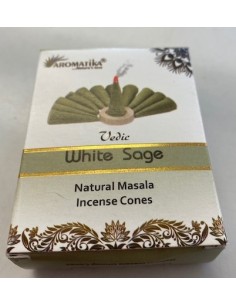 Sauge encens en cône