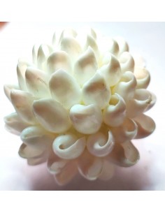 Nacre blanche fleur