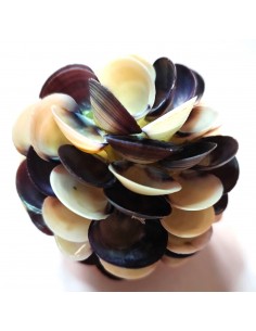 Coquillage Caycay fleur 2