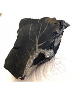Shungite agrégations diamants 2