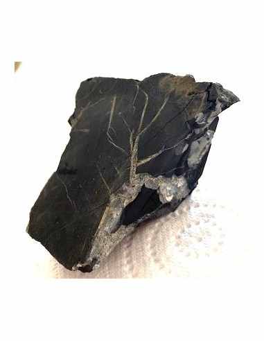 Shungite agrégations diamants